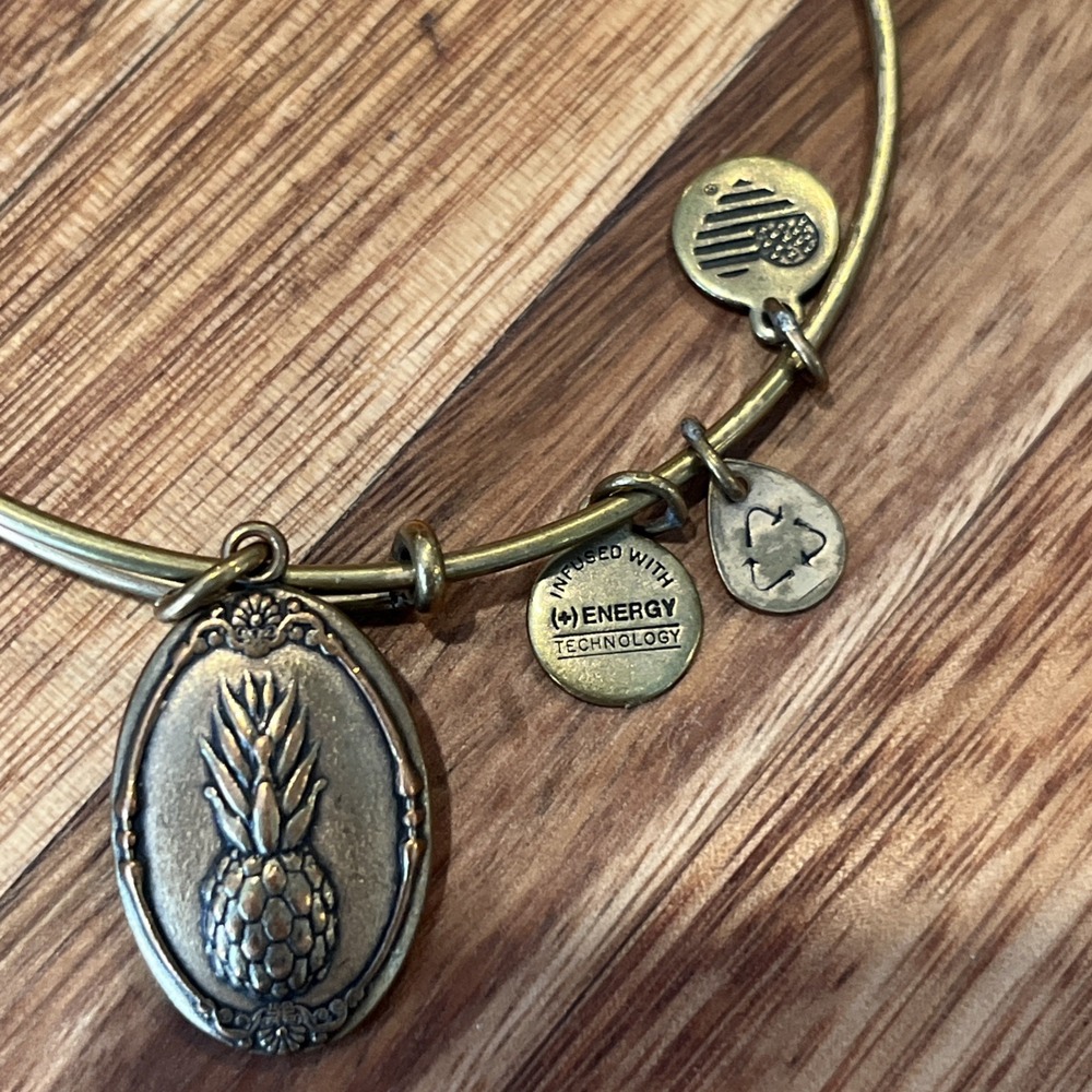 Alex And Ani Lot Of 2 Gold Tone Bangle Bracelet With 9 Charms - Picture 2 of 5